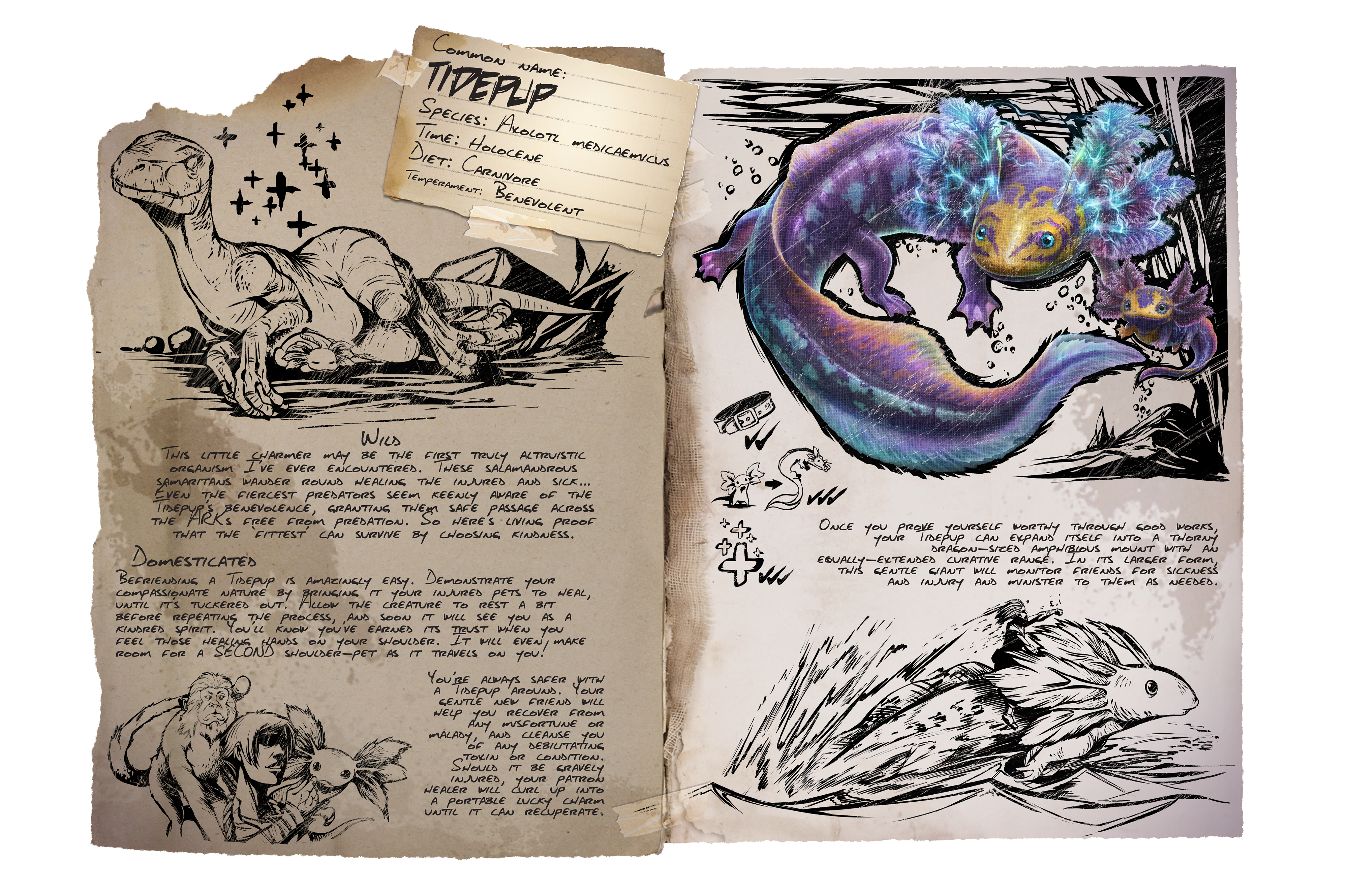 Tidepup · Dossier