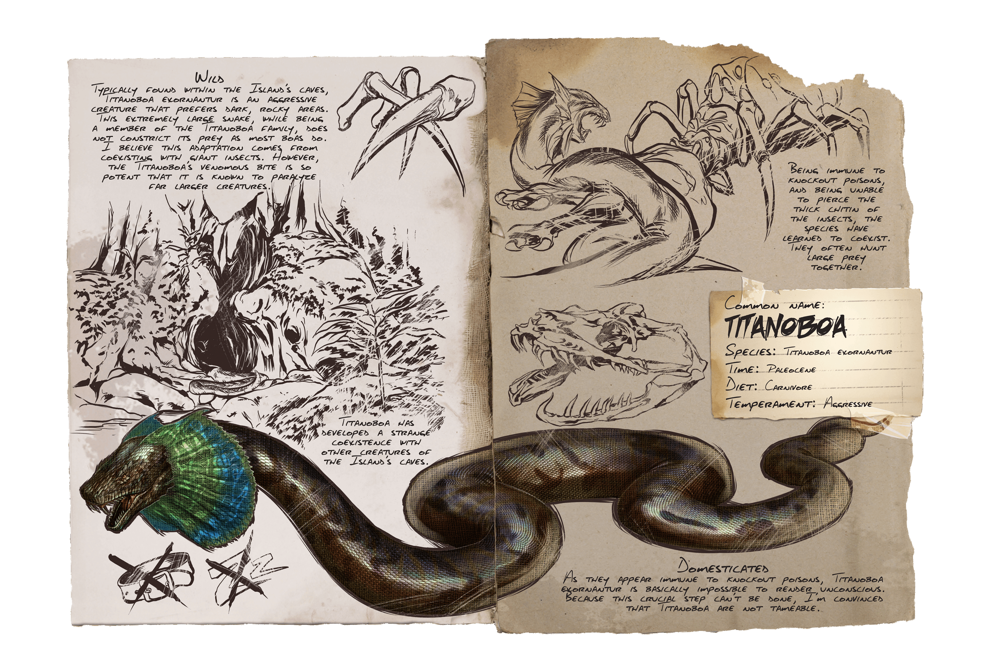 Titanoboa &middot; Dossier