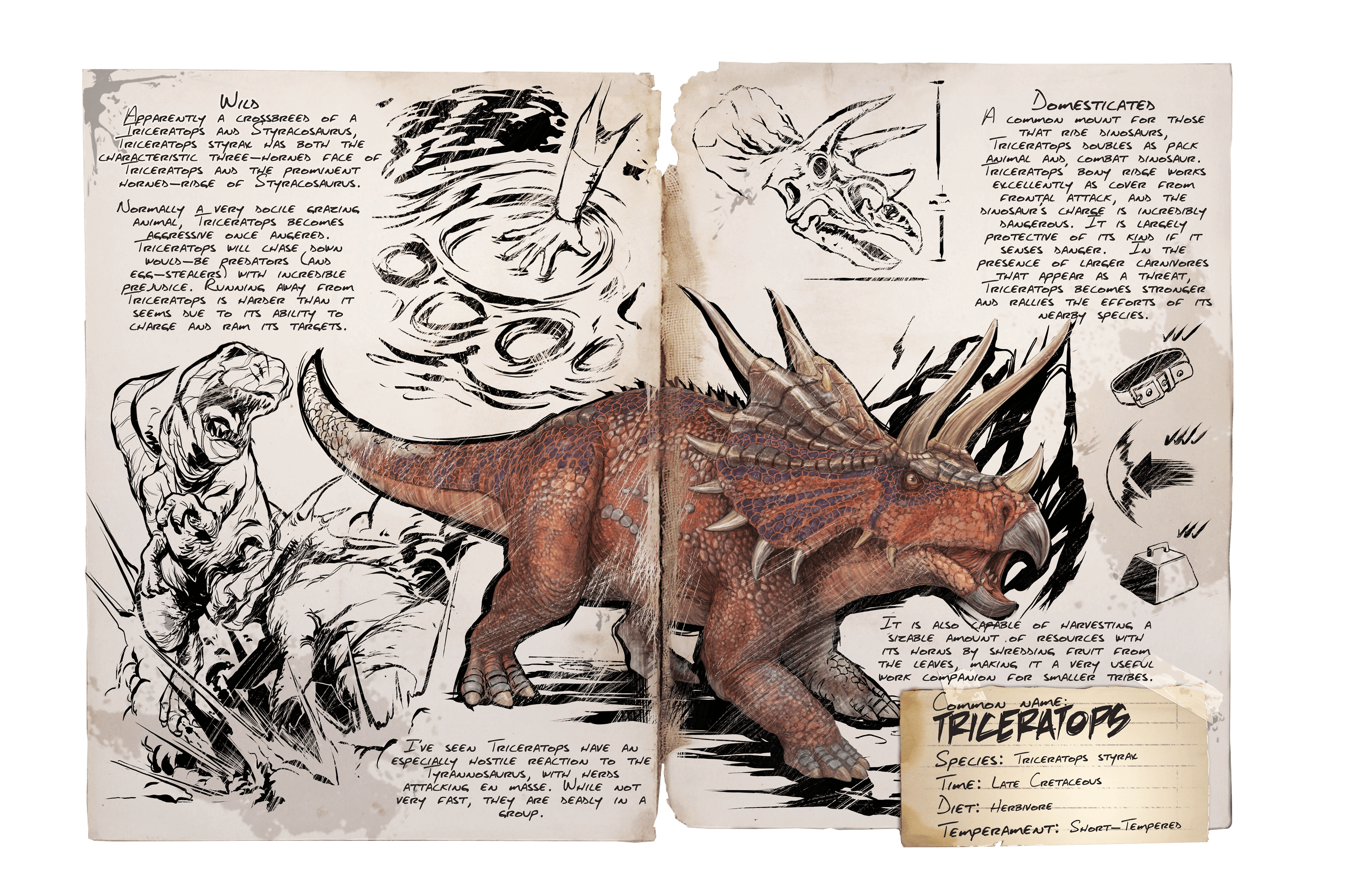 Triceratops &middot; Dossier