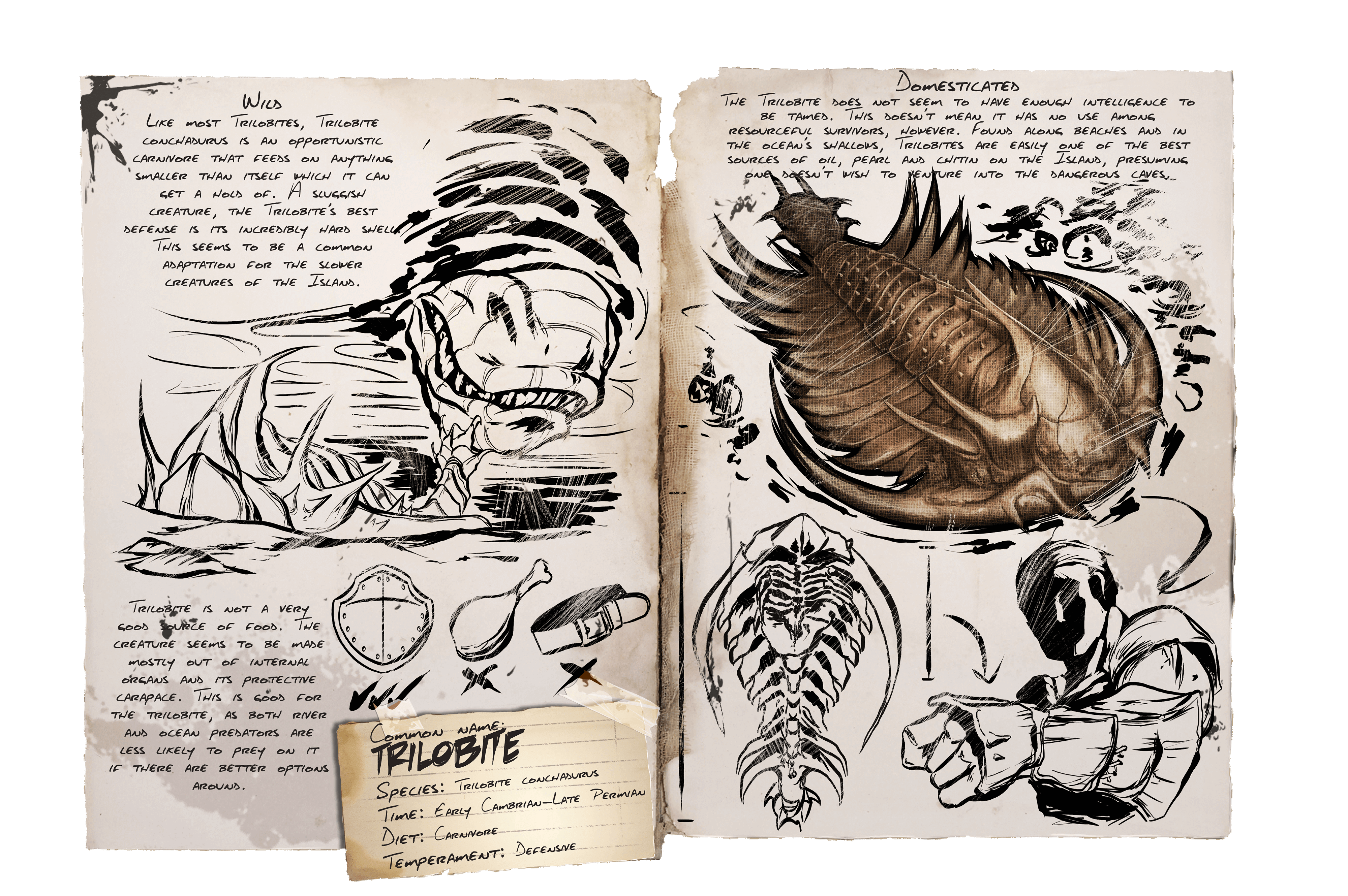 Trilobite &middot; Dossier