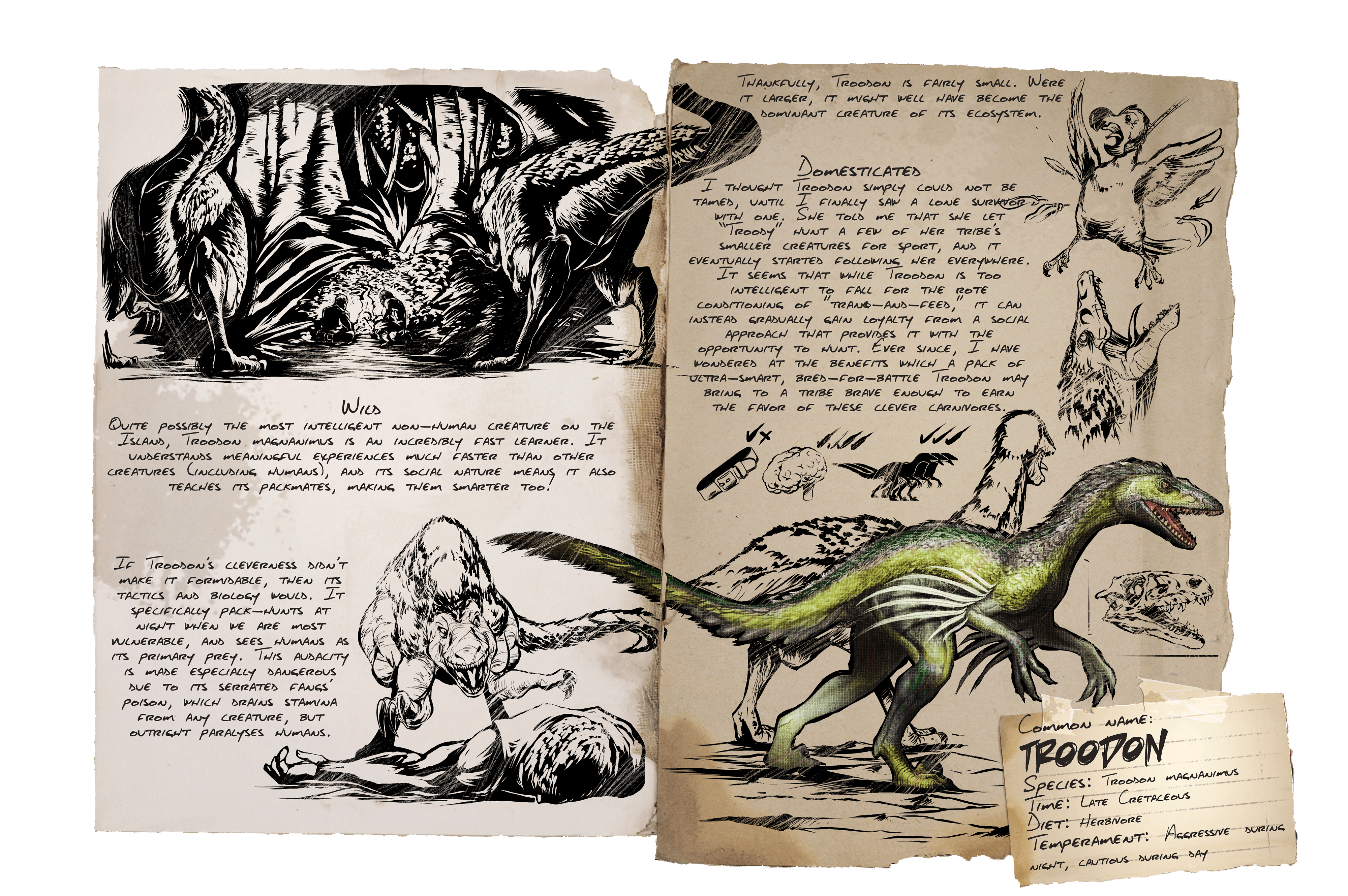 Troodon · Dossier