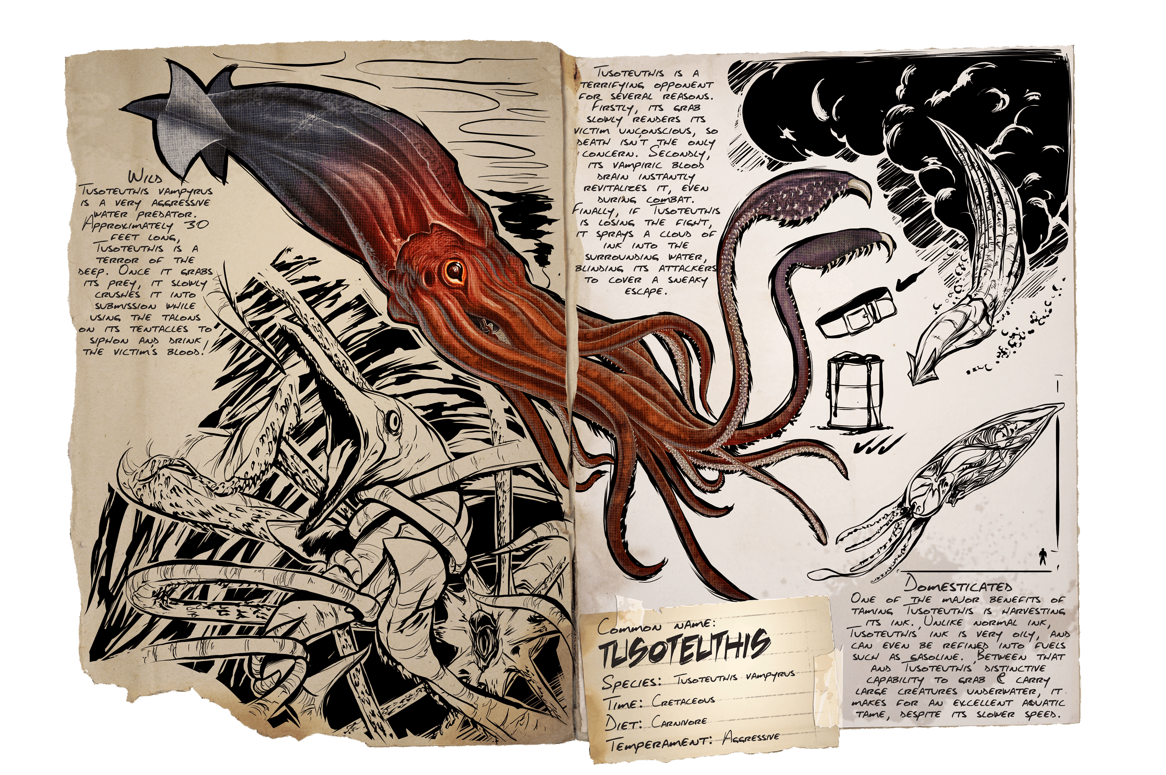 Tusoteuthis &middot; Dossier