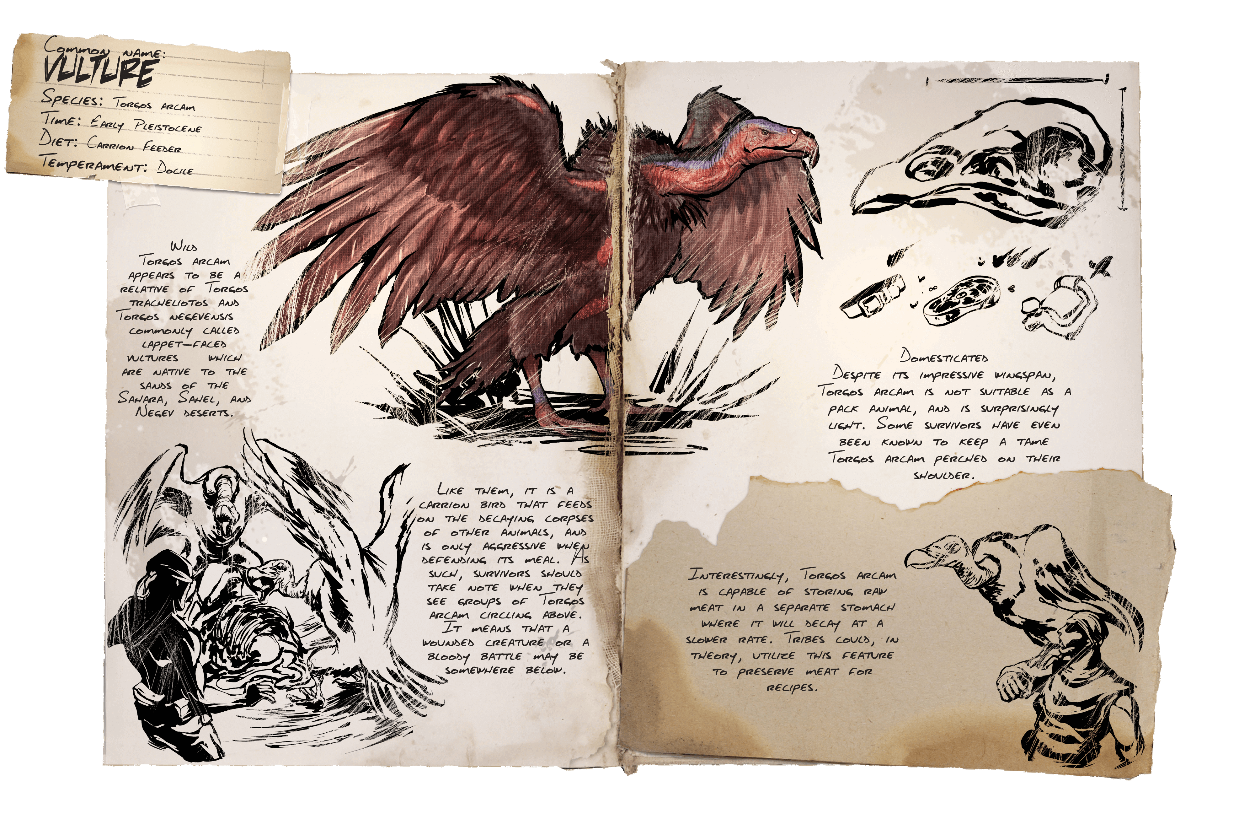 Vulture &middot; Dossier