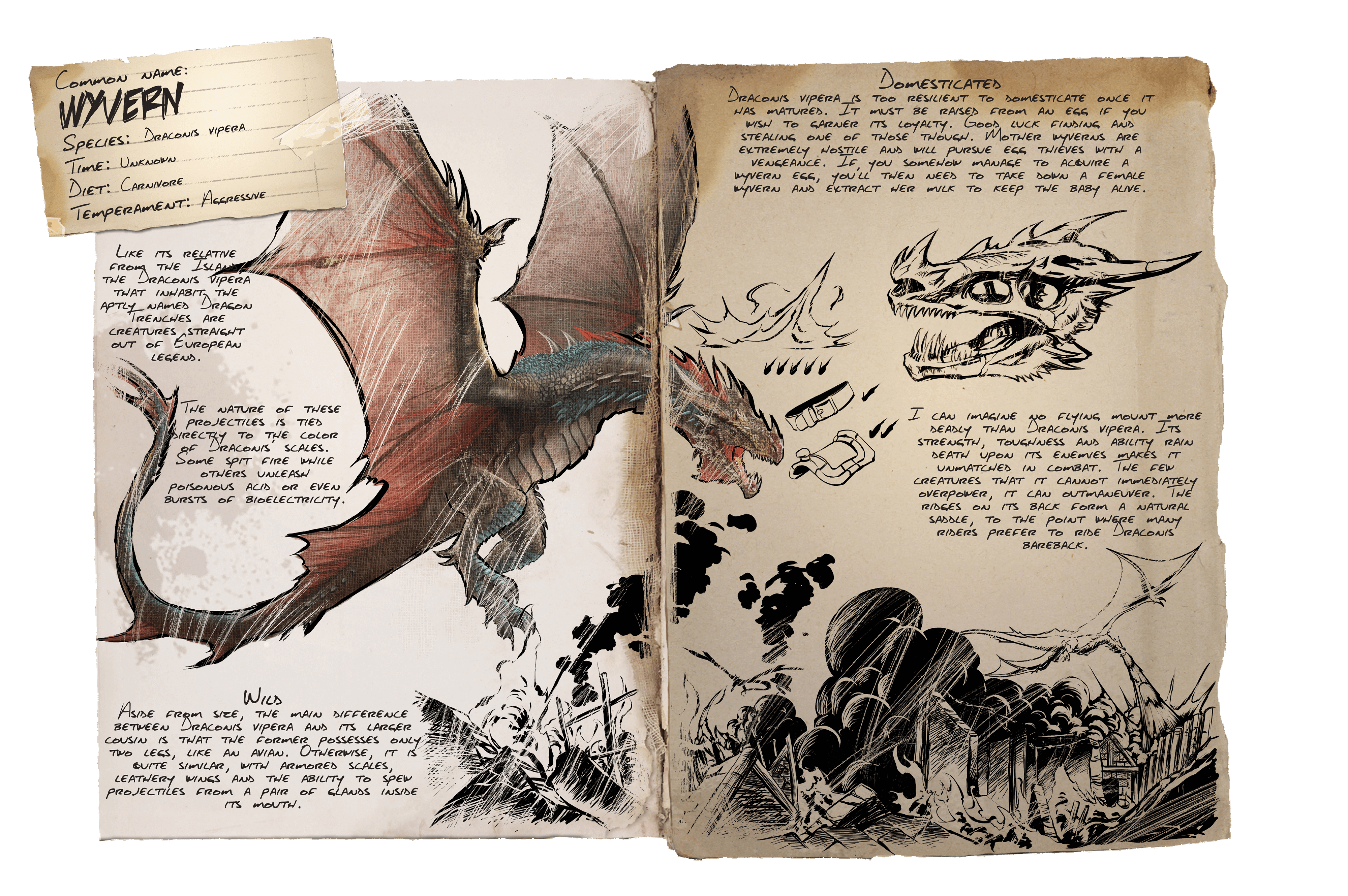 Wyvern · Dossier
