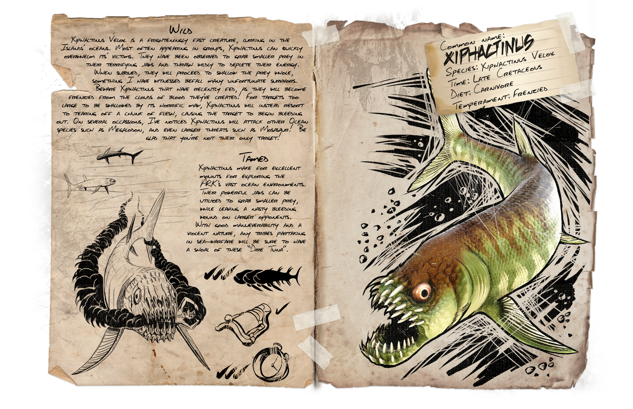 Xiphactinus · Dossier