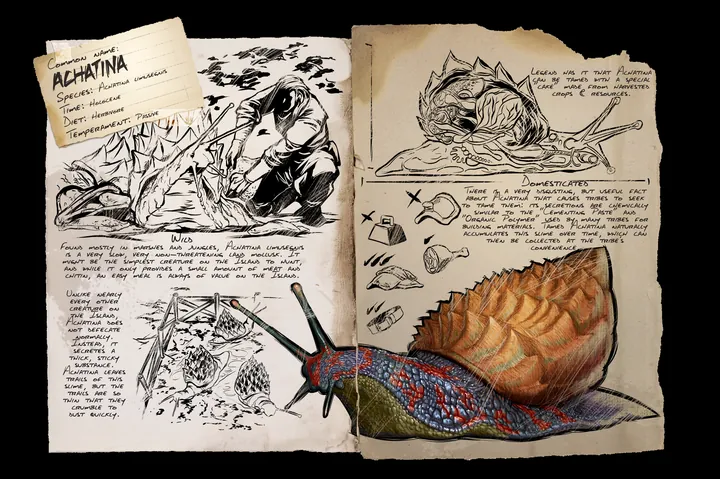 Achatina &middot; Dossier