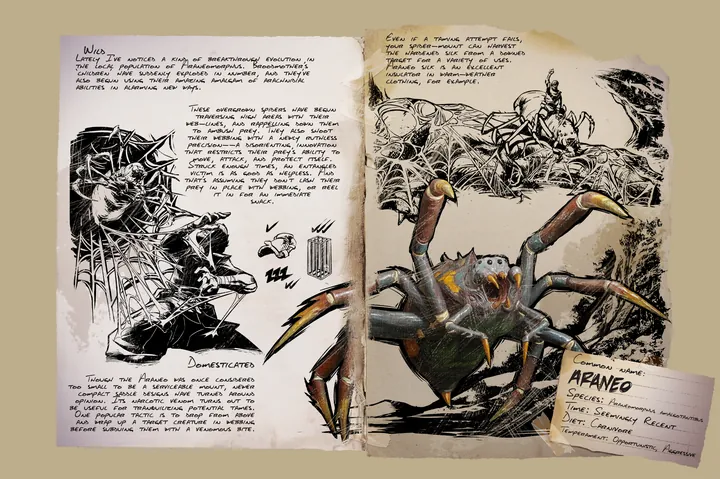 Araneo &middot; Dossier