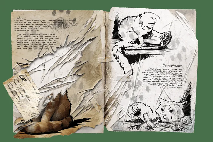 Cat &middot; Dossier