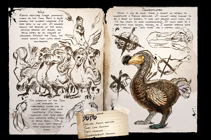 Dodo &middot; Dossier