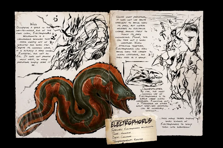 Electrophorus &middot; Dossier