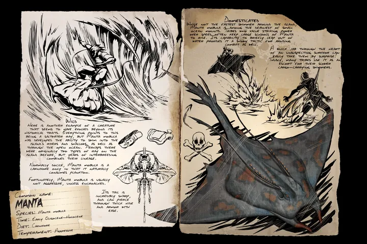Manta · Dossier