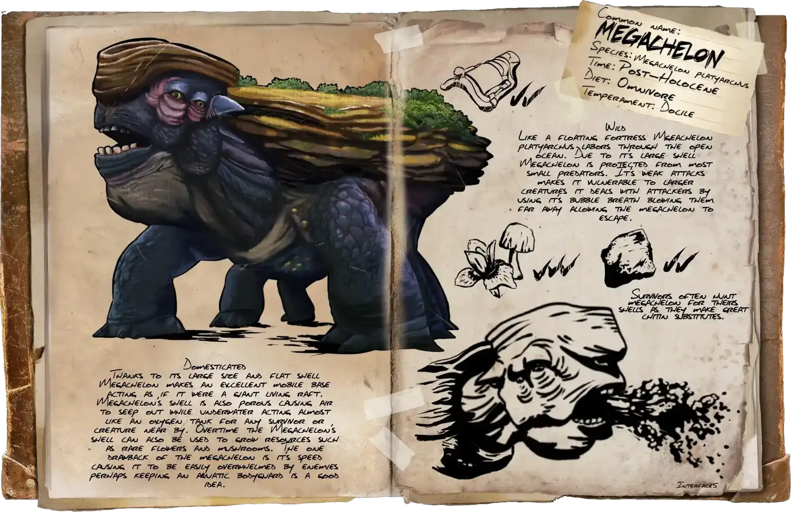 Megachelon · Dossier