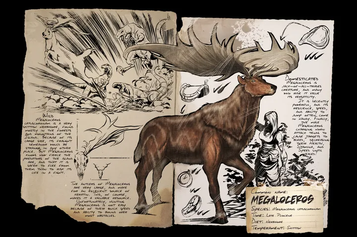 Megaloceros · Dossier