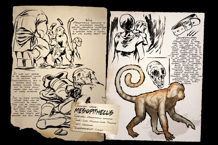 Mesopithecus · Dossier