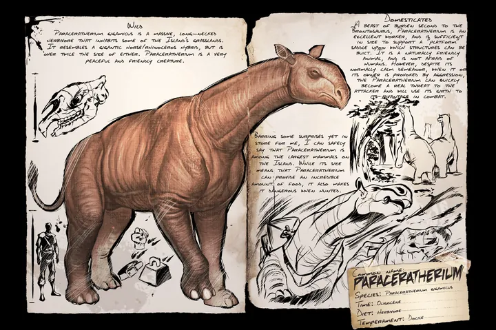 Paraceratherium · Dossier