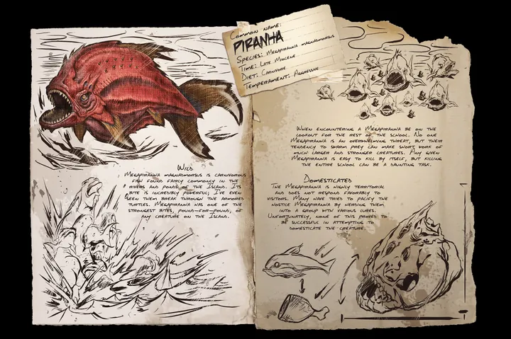 Piranha · Dossier