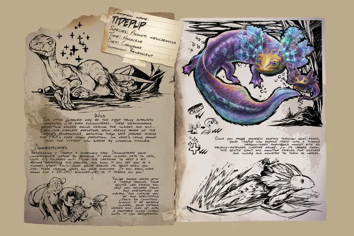Tidepup &middot; Dossier
