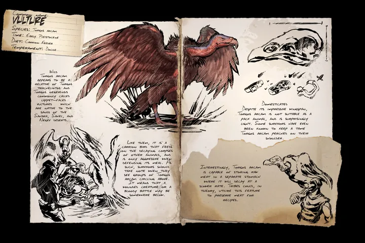 Vulture &middot; Dossier